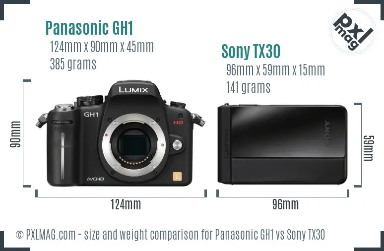 Panasonic GH1 vs Sony TX30 size comparison