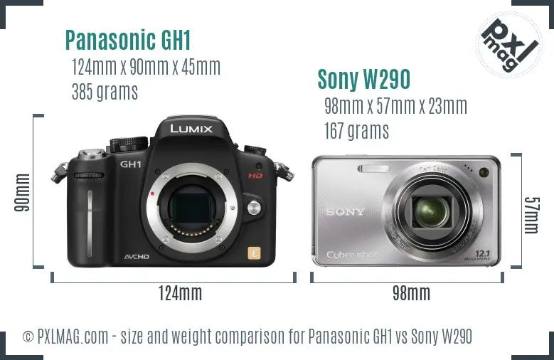 Panasonic GH1 vs Sony W290 size comparison