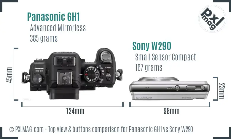 Panasonic GH1 vs Sony W290 top view buttons comparison