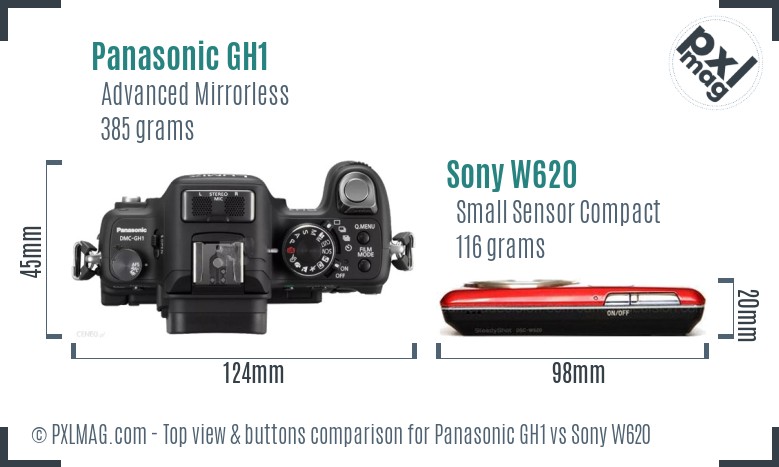 Panasonic GH1 vs Sony W620 top view buttons comparison