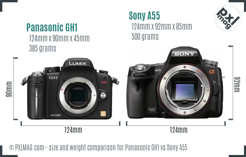 Panasonic GH1 vs Sony A55 size comparison