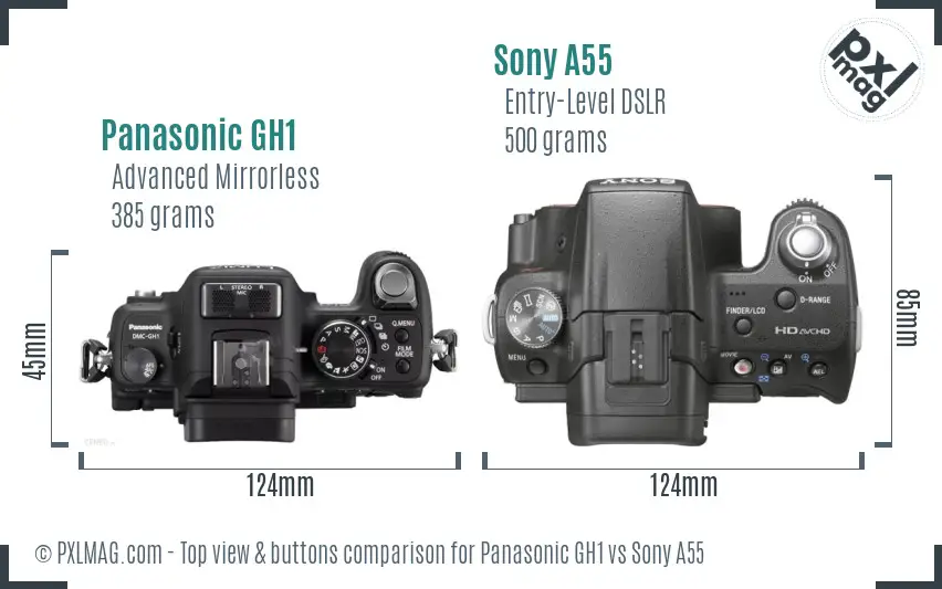 Panasonic GH1 vs Sony A55 top view buttons comparison