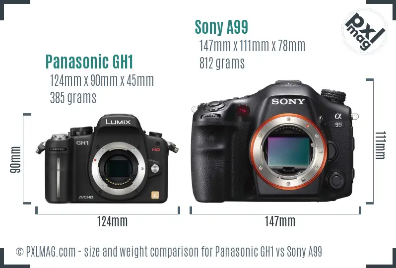 Panasonic GH1 vs Sony A99 size comparison Panasonic GH1 vs Sony A99 size comparison
