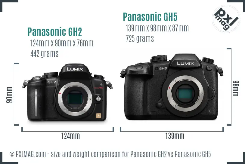 Panasonic GH2 vs Panasonic GH5 size comparison
