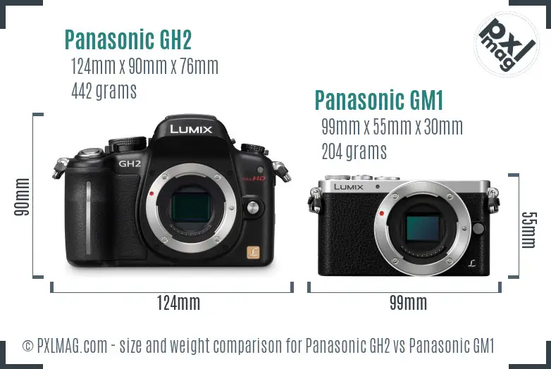 Panasonic GH2 vs Panasonic GM1 size comparison