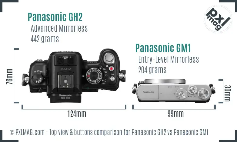 Panasonic GH2 vs Panasonic GM1 top view buttons comparison