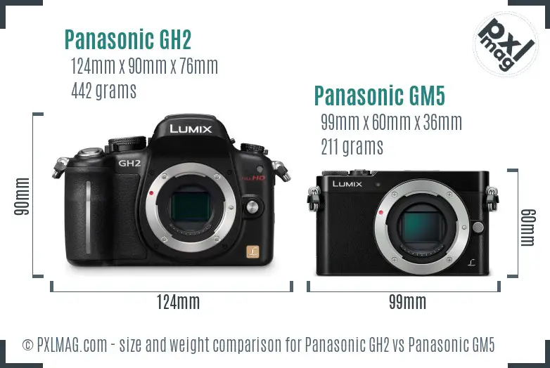 Panasonic GH2 vs Panasonic GM5 size comparison