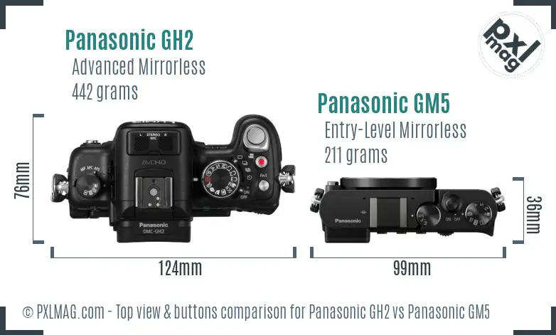 Panasonic GH2 vs Panasonic GM5 top view buttons comparison