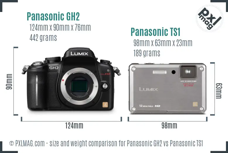 Panasonic GH2 vs Panasonic TS1 size comparison