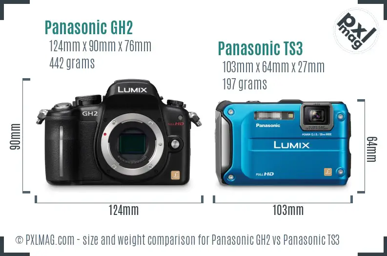 Panasonic GH2 vs Panasonic TS3 size comparison
