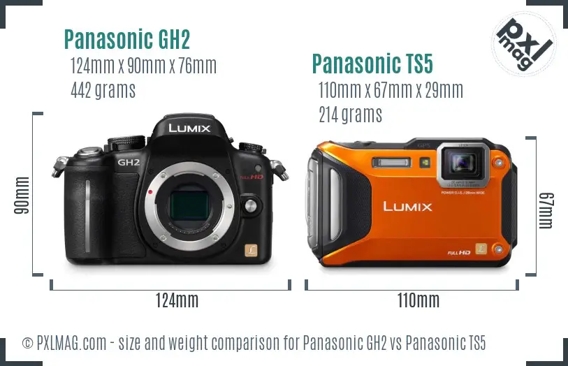 Panasonic GH2 vs Panasonic TS5 size comparison
