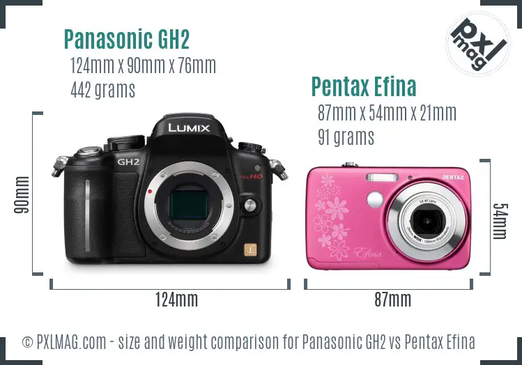 Panasonic GH2 vs Pentax Efina size comparison
