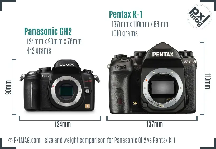 Panasonic GH2 vs Pentax K-1 size comparison