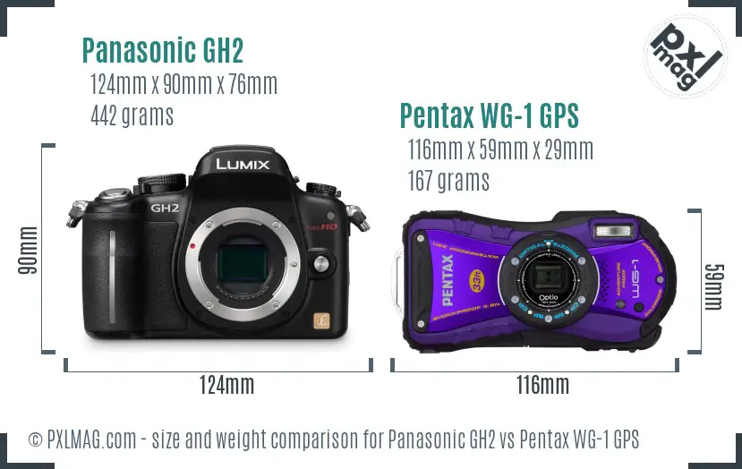 Panasonic GH2 vs Pentax WG-1 GPS size comparison