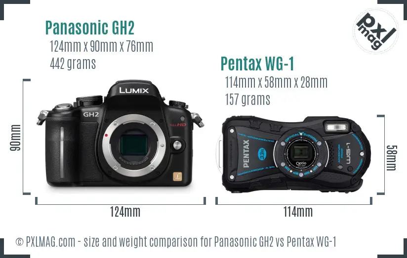 Panasonic GH2 vs Pentax WG-1 size comparison