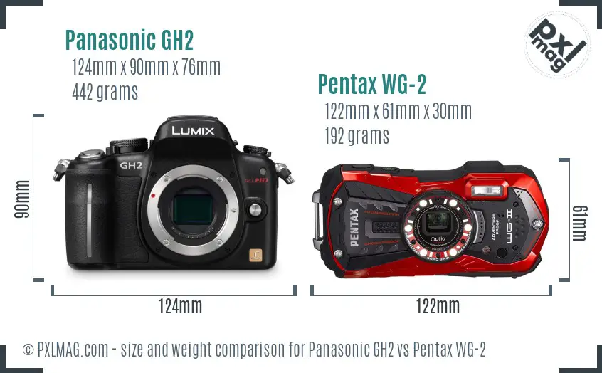 Panasonic GH2 vs Pentax WG-2 size comparison