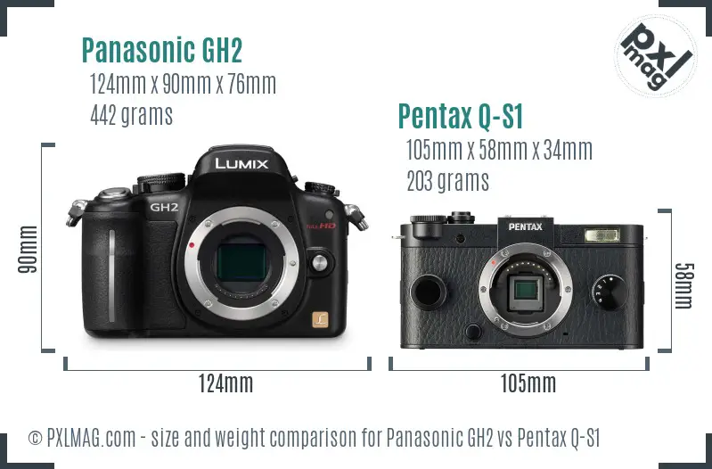Panasonic GH2 vs Pentax Q-S1 size comparison
