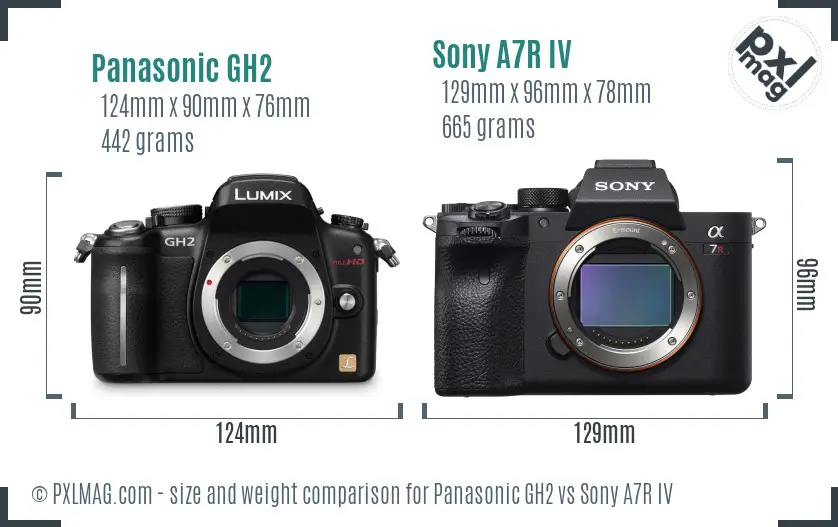 Panasonic GH2 vs Sony A7R IV size comparison