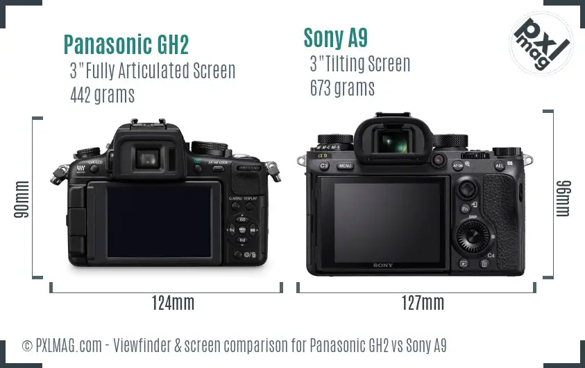 Panasonic GH2 vs Sony A9 Screen and Viewfinder comparison
