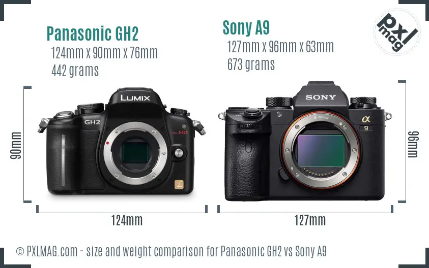 Panasonic GH2 vs Sony A9 size comparison