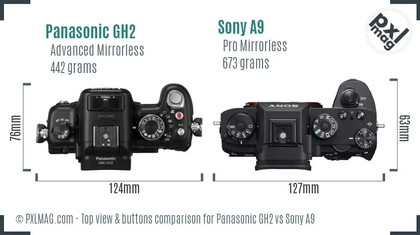 Panasonic GH2 vs Sony A9 top view buttons comparison