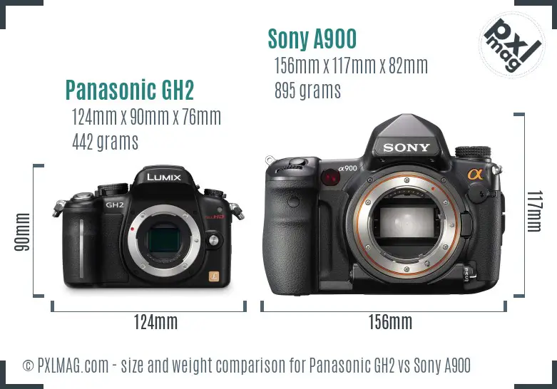 Panasonic GH2 vs Sony A900 size comparison