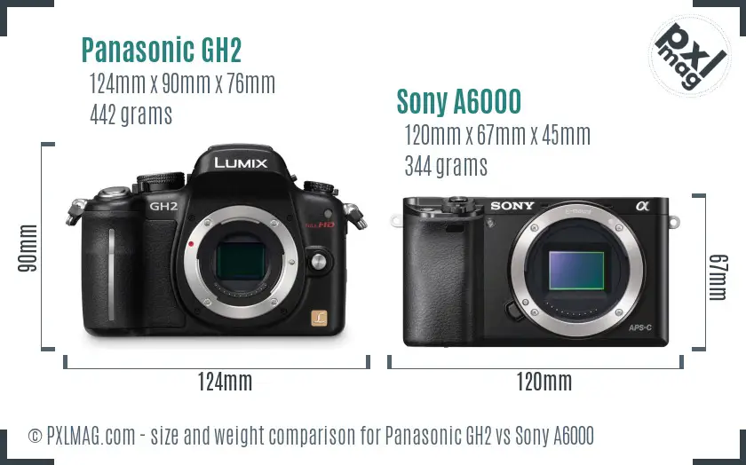 Panasonic GH2 vs Sony A6000 size comparison