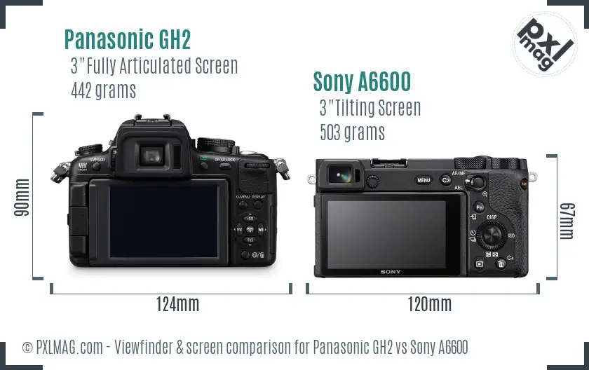 Panasonic GH2 vs Sony A6600 Screen and Viewfinder comparison