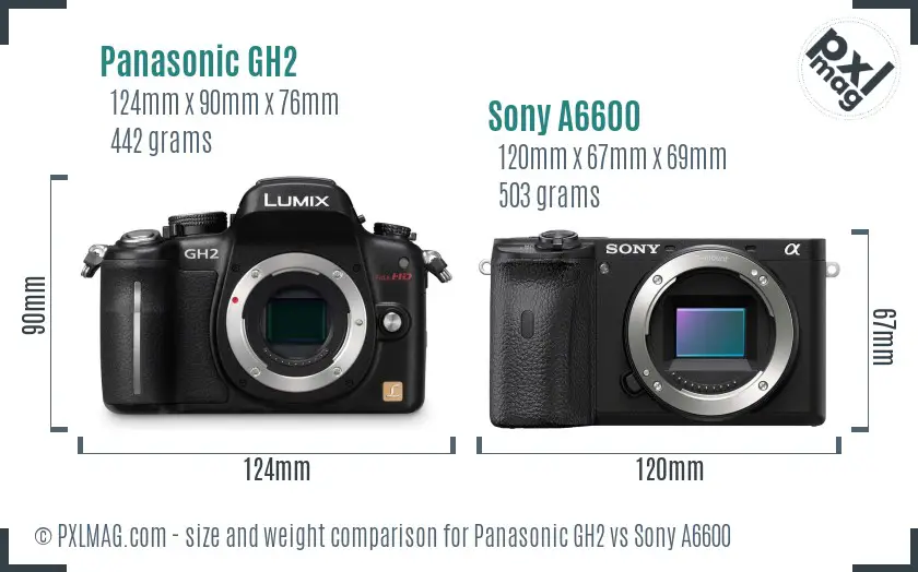 Panasonic GH2 vs Sony A6600 size comparison