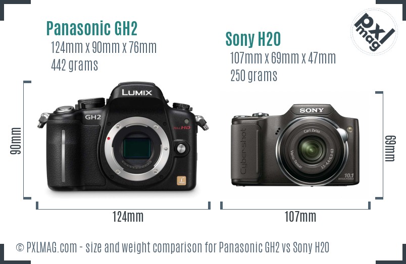 Panasonic GH2 vs Sony H20 size comparison