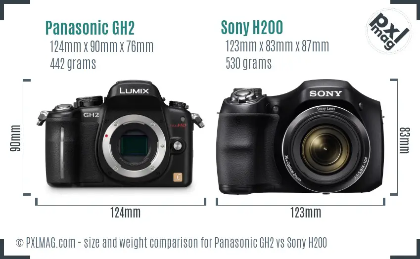 Panasonic GH2 vs Sony H200 size comparison