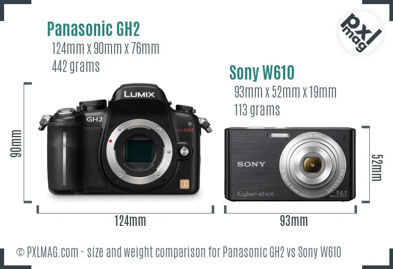 Panasonic GH2 vs Sony W610 size comparison Panasonic GH2 vs Sony W610 size comparison