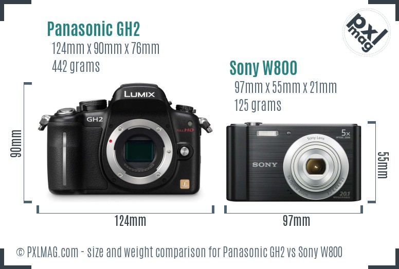 Panasonic GH2 vs Sony W800 size comparison