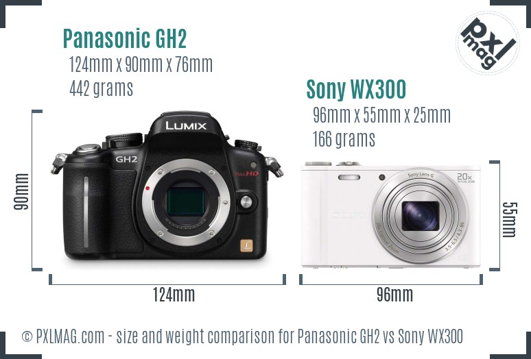 Panasonic GH2 vs Sony WX300 size comparison Panasonic GH2 vs Sony WX300 size comparison
