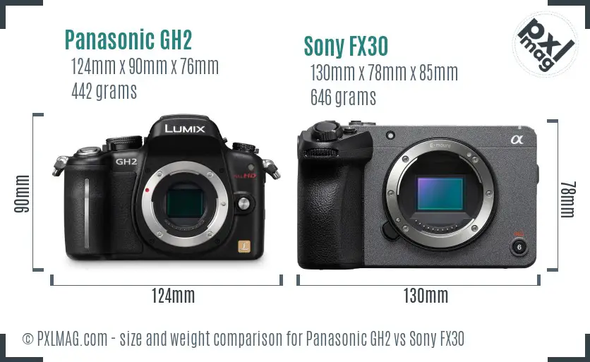 Panasonic GH2 vs Sony FX30 size comparison