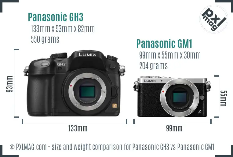 Panasonic GH3 vs Panasonic GM1 size comparison