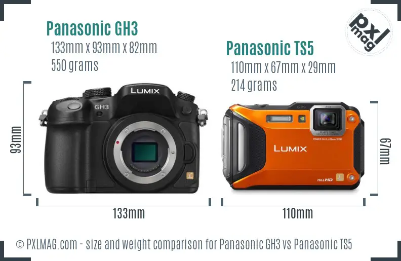 Panasonic GH3 vs Panasonic TS5 size comparison