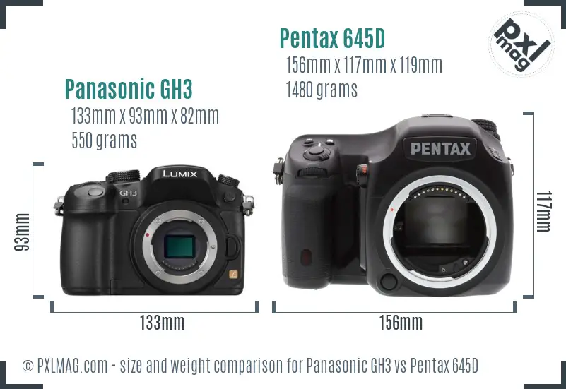 Panasonic GH3 vs Pentax 645D size comparison