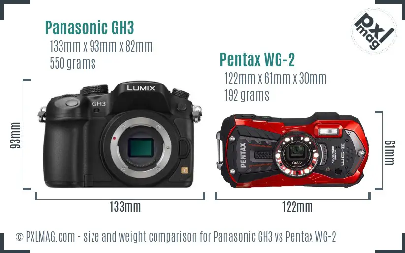 Panasonic GH3 vs Pentax WG-2 size comparison