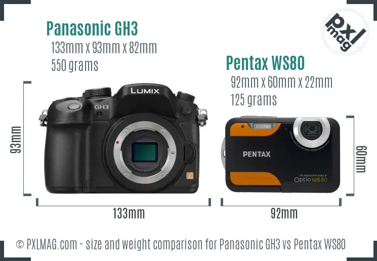 Panasonic GH3 vs Pentax WS80 size comparison