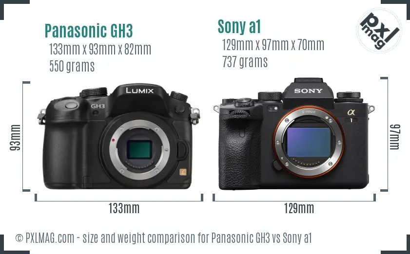 Panasonic GH3 vs Sony a1 size comparison
