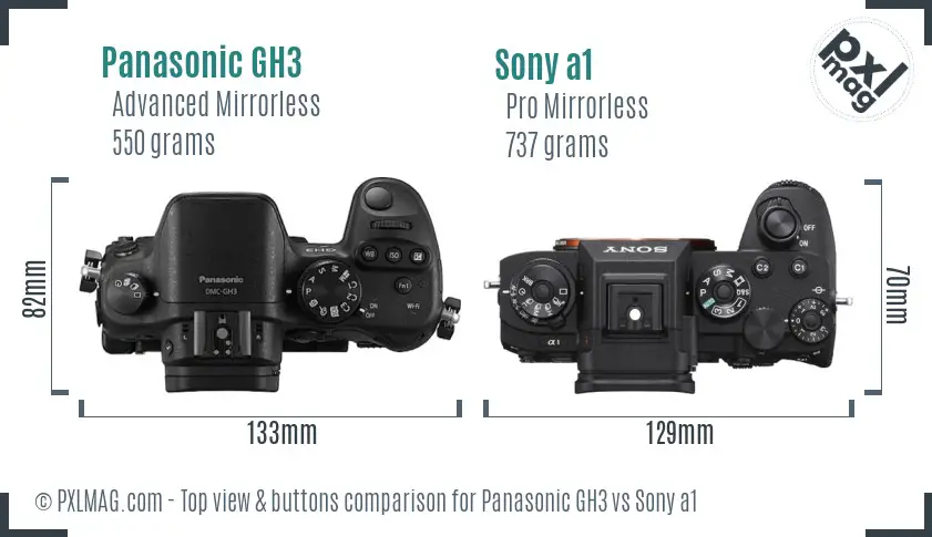 Panasonic GH3 vs Sony a1 top view buttons comparison