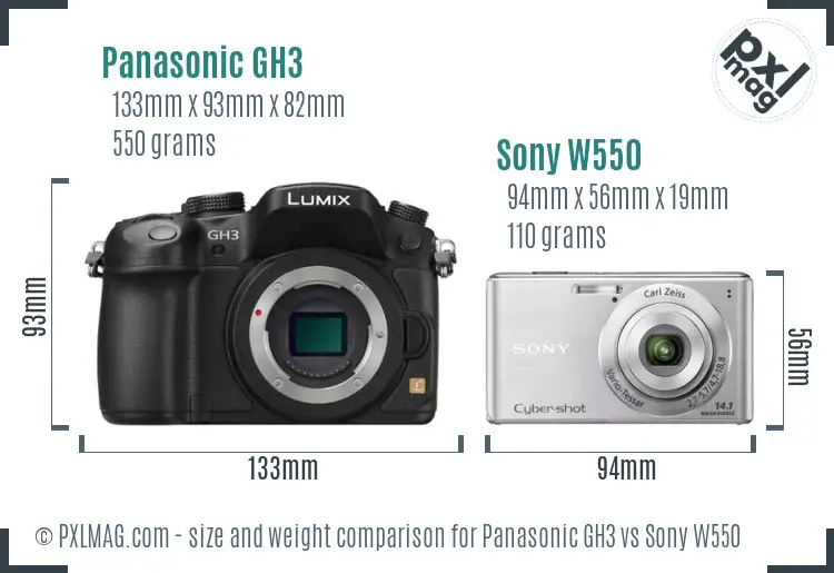 Panasonic GH3 vs Sony W550 size comparison