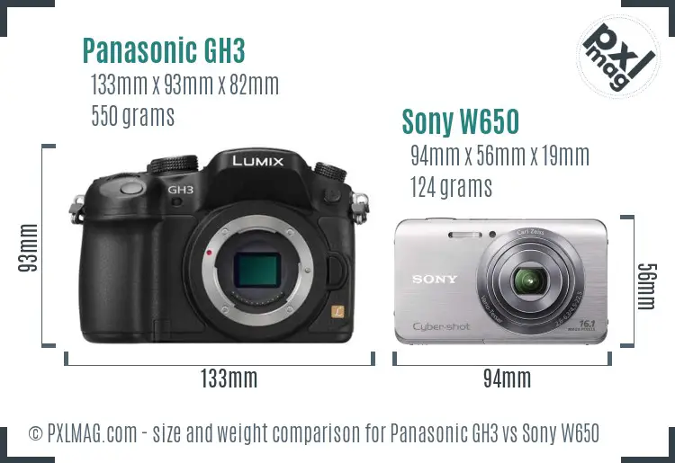 Panasonic GH3 vs Sony W650 size comparison