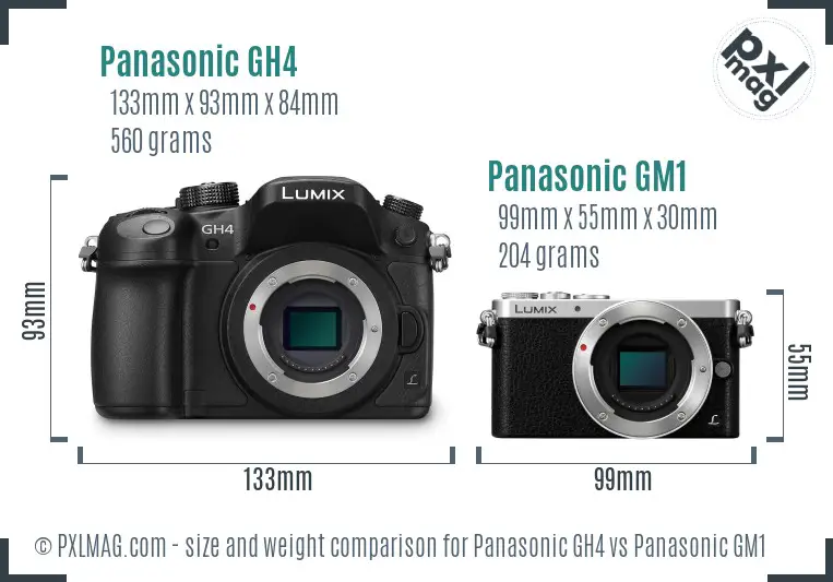 Panasonic GH4 vs Panasonic GM1 size comparison