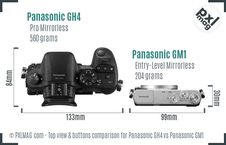 Panasonic GH4 vs Panasonic GM1 top view buttons comparison