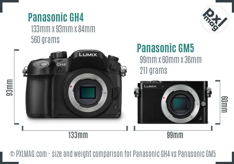 Panasonic GH4 vs Panasonic GM5 size comparison