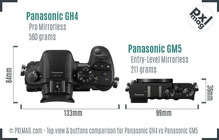 Panasonic GH4 vs Panasonic GM5 top view buttons comparison