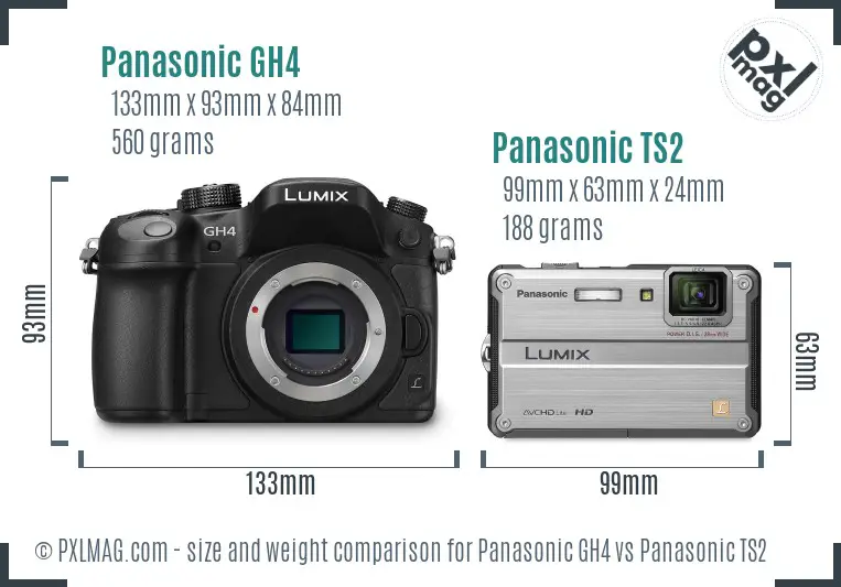 Panasonic GH4 vs Panasonic TS2 size comparison