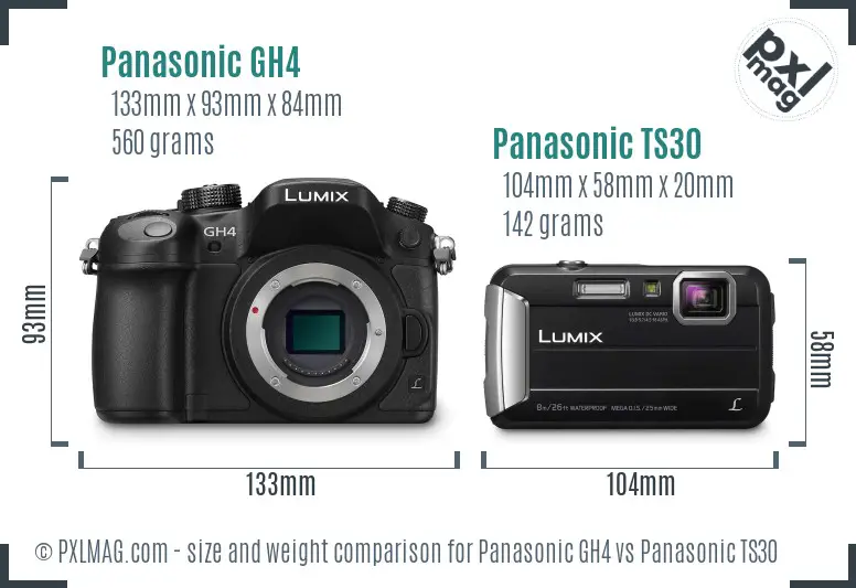 Panasonic GH4 vs Panasonic TS30 size comparison